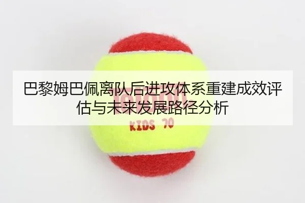 ba-li-mu-ba-pei-li-dui-hou-jin-gong-ti-xi-chong-jian-cheng-xiao-ping-gu-yu-wei-lai-fa-zhan-lu-jing-fen-xi-2-166.jpg